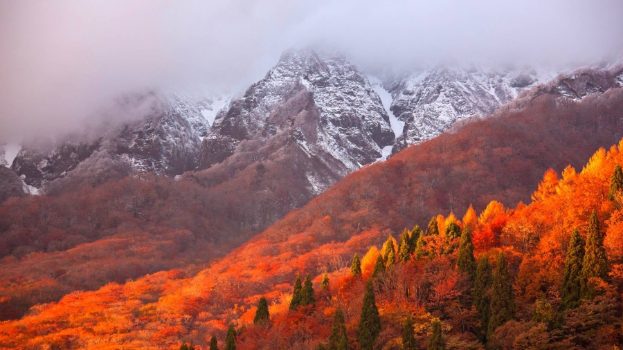 日本神奈川县 、大山