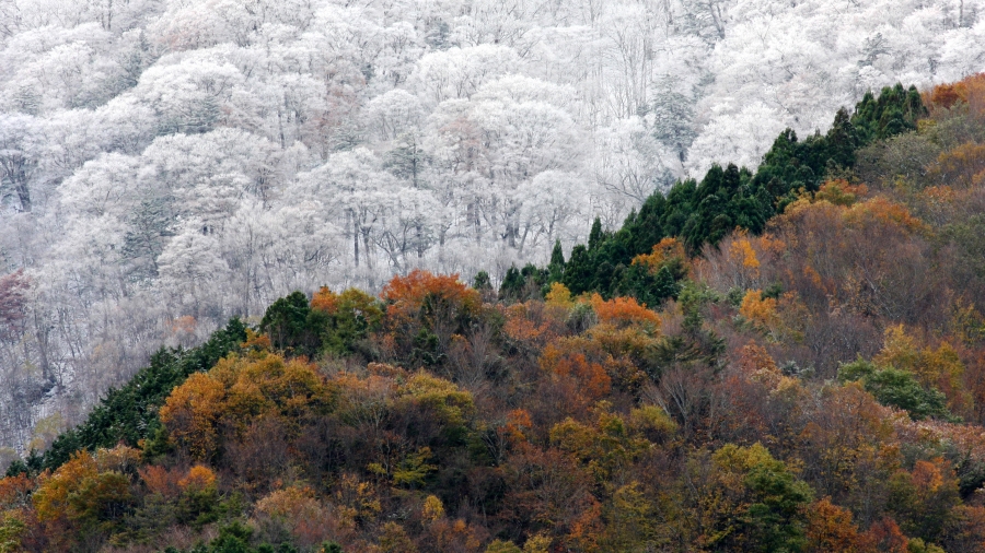 日本 、初雪与最后的秋色相会