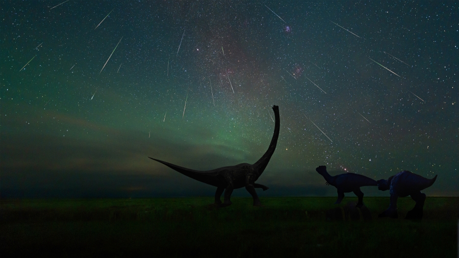 拍摄于二连浩特恐龙博物馆中的英仙座流星雨、中国内蒙古 