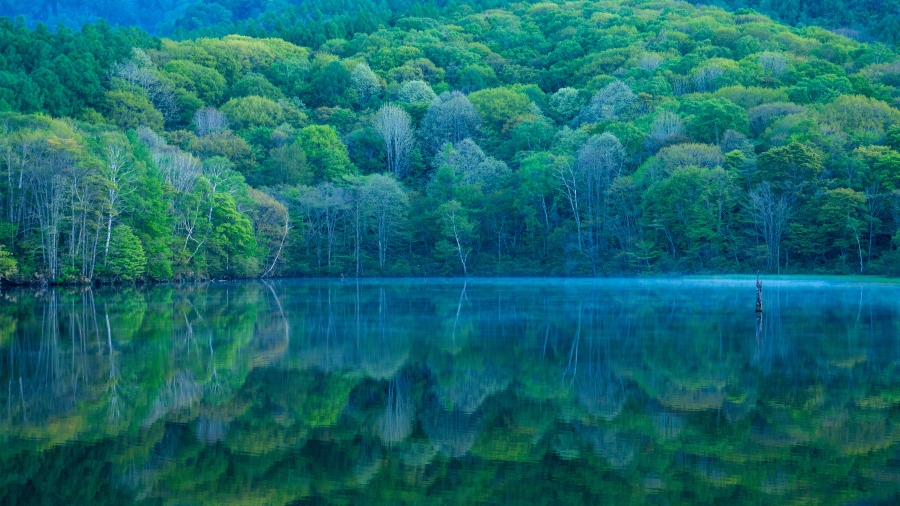 镜池、长野、日本 