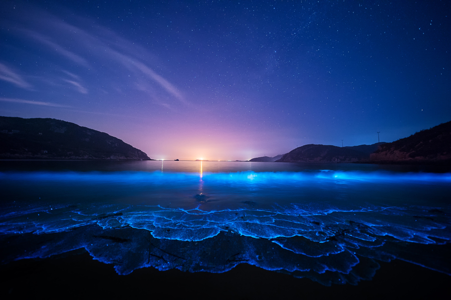 晚上海边星空动漫风景美图，夜色下海岸美丽的4k风景壁纸